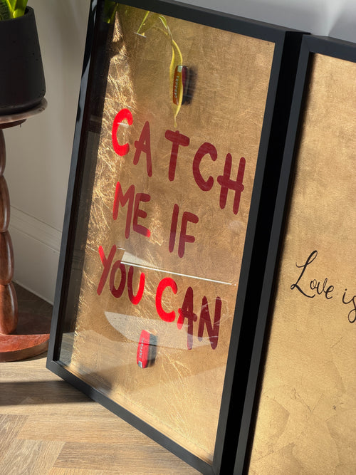 Catch me if you can