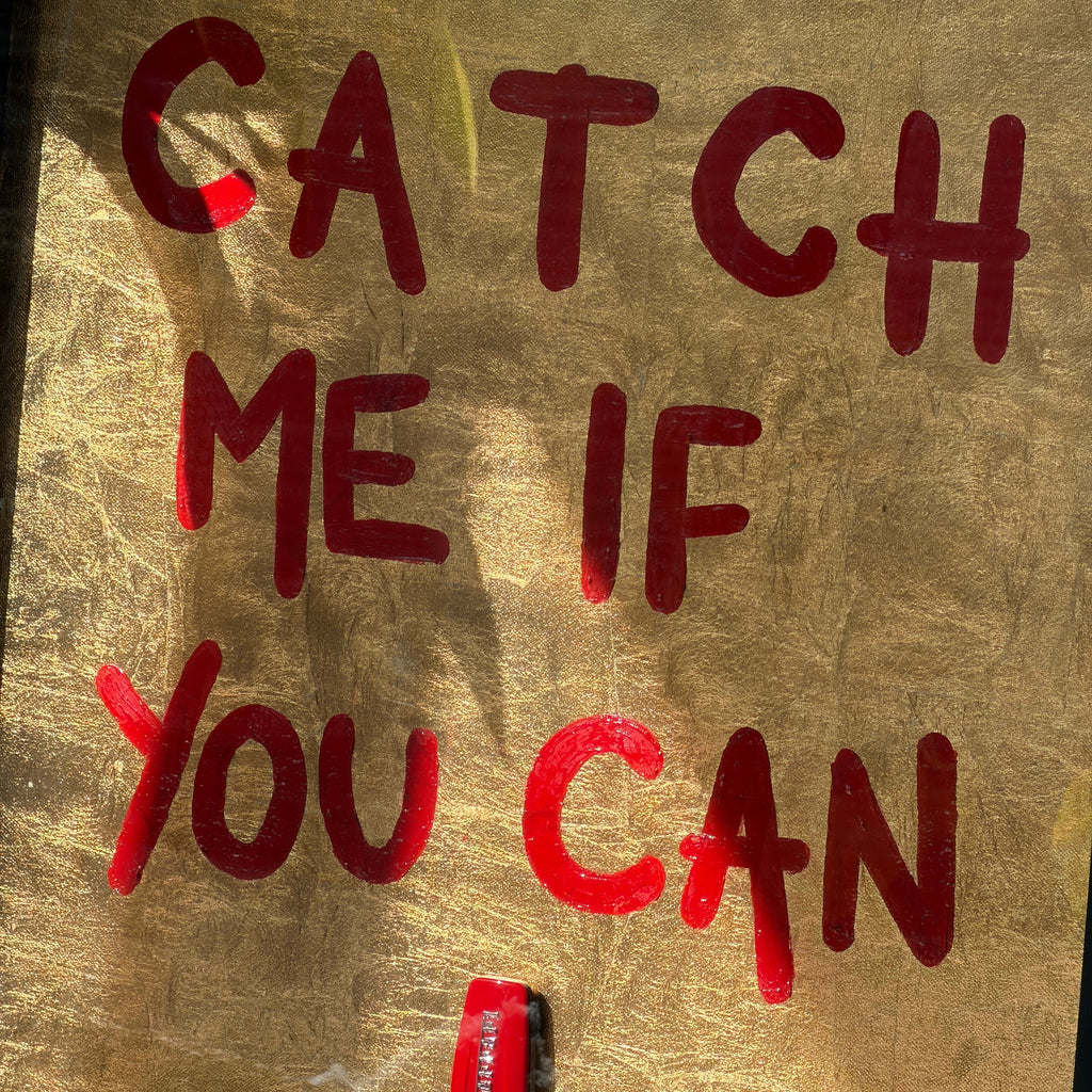 Catch Me If You Can